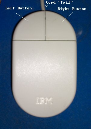 Picture of an IBM Mouse